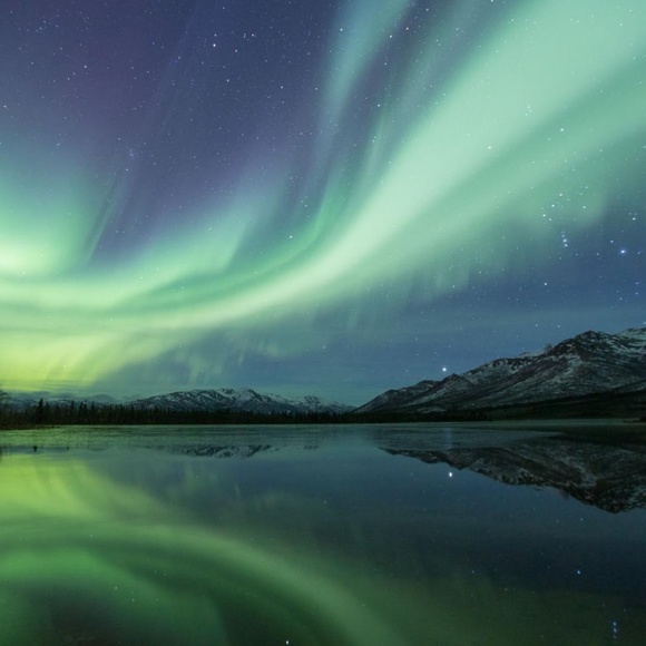 Meet your Posher, Gina - Picture 3 of 3